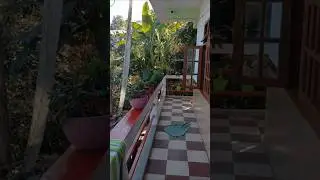 HIMALAYAN PARADISE HOME STAY SITTONG #video#shortsviral#shortvideos#viralvideos#