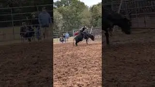 Isaac at the practice pen #bullriding #cowboys #rodeo