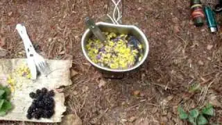 How to make tea in the wild
