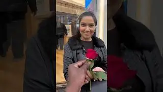 Roses 🥀 giving to girls #shorts #viralprank #rose #lemeetlesshansi