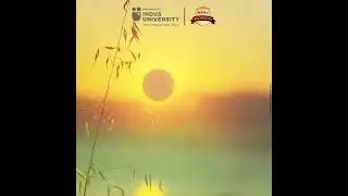Rath Saptami 2025: Indus University Celebrates Wisdom, Growth, and Success