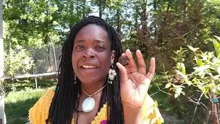 Bronzite: Harmony, decision making, public relations