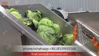 Fresh Vegetable Washing and Packing Line 2022