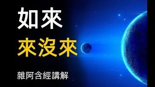 雜阿含經講解15 如來來沒來 十大名號 緣起 十二因緣 神經可塑性 The Ten Names of Buddha, Dependent Origination, Twelve Causes