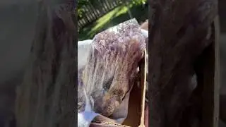 Cutting Crystals, a pineapple Amethyst 💜for my next Manzanita Wood piece of Art. 💜