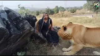 Lion Attack Girl in Forest Today 😭😭 | Lion Attack Hunter | Lion Attack Stories 2025 #lion #attack