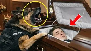 Police Dog Wouldn&rsquo;t Stop Barking at a Coffin &mdash; What He Discovered No One Had Ever Heard Before Him