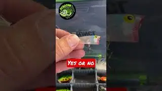 Little Popper Bass Fishing Lure Catch Anything? - fishing lure shorts 🎣 #shorts #bassfishing