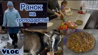 Vlog||22.01.2026  Ранок на Господарстві|| готуємо торт «Мурашник» з донечкою