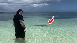 Undertaker Goes VIRAL For Protecting Wife From Rare Shark Attack