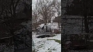 Back Triple Full