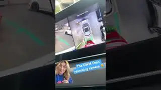The GWM Ora reversing camera has a cool little trick to help with those tricky parks!
