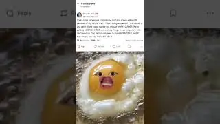 Trump on EGG PRICES #usa #trump #eggs #farmers