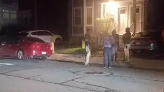 Boston police make one arrest and recover a firearm on Gleason street. July 26, 2025