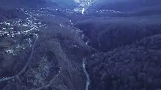 DARK FOREST VIDEO FOOTAGE - THE DARK FOREST AT NIGHT FREE HD VIDEO FOOTAGE - 49