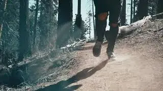 The forest nature/ Cinematic short film/2021