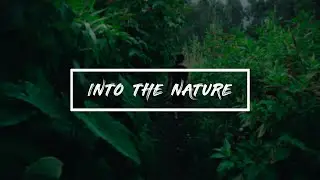 Into The Nature | Travel Video | Vattavada | Munnar