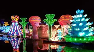 Dubai Garden Glow|glow garden|Dubai Glow Park|Dubai Attraction