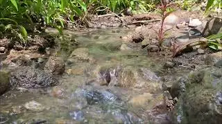 Gentle Trickling Water - 1 Hour - No Music