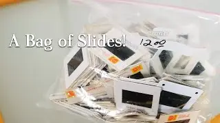 $12 Bag of Mystery Slides | Thrift Score Found Photographs