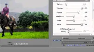 Sony Vegas Platinum 10.0 HD Tutorials