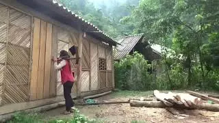 Single Mom _ Harvest Wood To Build The kitchen - Strangers Follow And The End _ Tropical Forest