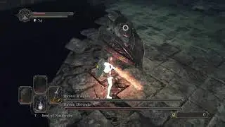 Throne Defender, Throne Watcher SL1 CoC NG+7 No Roll/Block/Parry [Flawless]