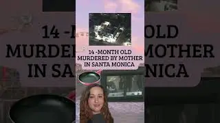 14-month-old murdered by mother in Santa Monica, CA #Santamonica #losangeles #california #crimetok