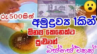 ගෙදරදීම කරන්න ලේසිම බිස්නස් එකක්..💪😮/how to start business at home/home business ideas/ape gedara