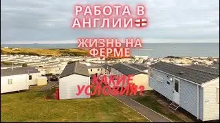 Работа в Англии. Жизнь на ферме. Обзор на караван. Staples Vegetables Ltd. Boston 2023