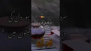 Royal Poetry  Zone💗. Beutifull Poetry #Viral #2024 ❤️💚.