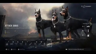 Vanguard attack dogs killstreak gameplay !