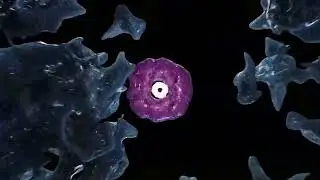 Dj Atrocity with visuals by DCELED for KTDA