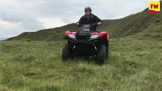 Honda Fourtrax 420