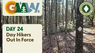 BMT Day 24 | Day Hikers Out In Force