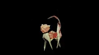 How to fold a Money Origami Cat/ Hướng dẫn gấp con mèo từ tiền Việt