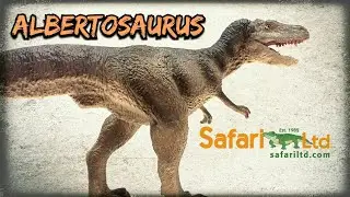 Safari LTD Carnegie Collection Albertosaurus Review!!!