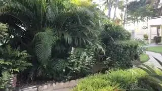 Welcome to Cabarete Palm Beach Condos!