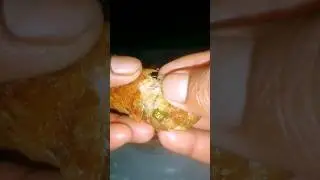Spicy Fish Wada #shorts
