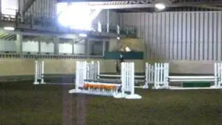 Honey Bear at Boulder Brook Horse Show April  2010 003.avi