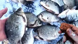 Зимой без этой насадки на рыбалку не хожу, лучшая для ловли карася.