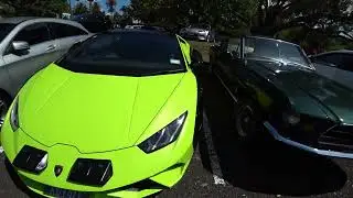 Rare JDM and Euro Cars at Ellerslie Car Show 2025