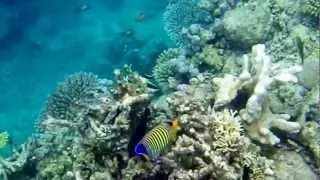 La passe en S &agrave; Mayotte - 25 novembre 2012