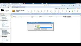 Настройка автоподдоменов в ISPmanager