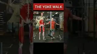 The Yoke Walk #movement #workout #workoutmotivation #shorts