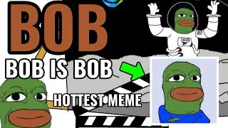 BOB | Explain This BOB Best Meme Token!