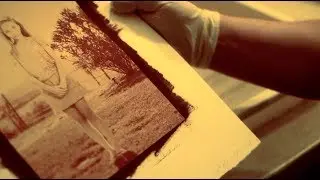 I Tre Bagnetti della Callitipia