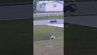 @factamatar German Shepherd Saved His Owner😍