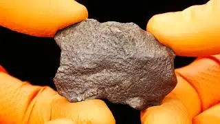 PolandMET Meteorite GEBEL KAMIL (66.04 gram)