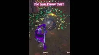 New Pirate NPC? 🤔 